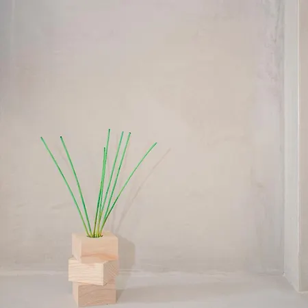 Apartment Liiiving In - Bolhao Trendy