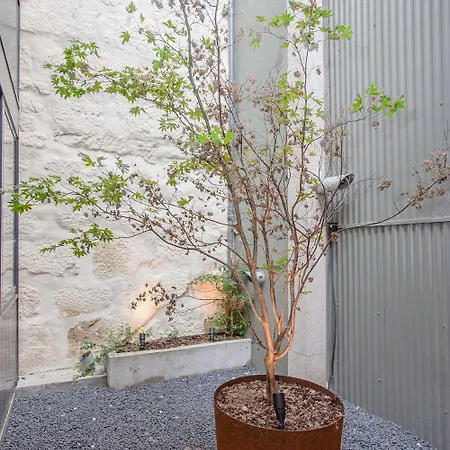 Appartement Liiiving In - Bolhao Trendy