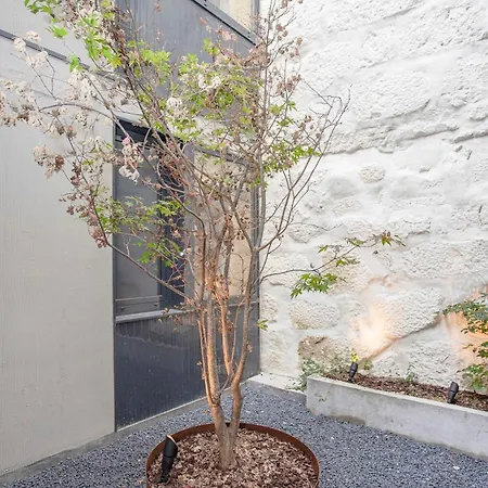 Liiiving In - Bolhao Trendy Apartamento *