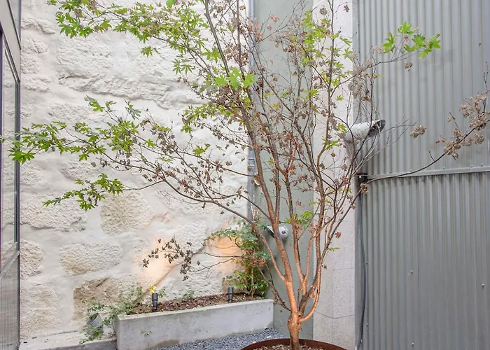 Liiiving In - Bolhao Trendy Oporto