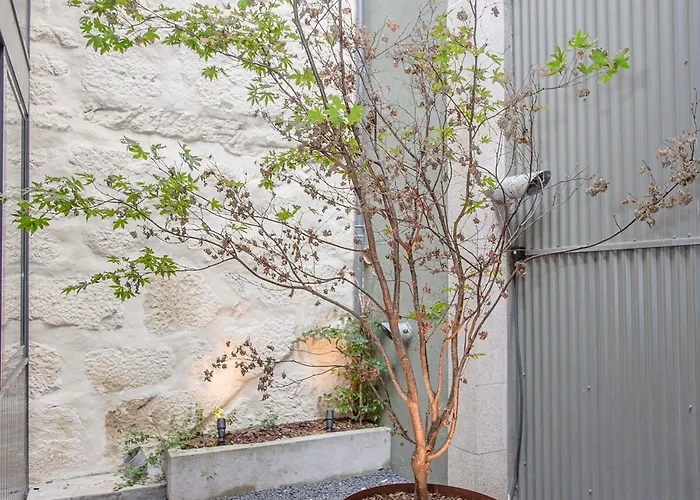 Lägenhet Liiiving In - Bolhao Trendy